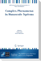Complex Phenomena in Nanoscale Systems