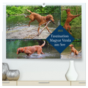 Faszination Magyar Vizsla am See (hochwertiger Premium Wandkalender 2025 DIN A2 quer), Kunstdruck in Hochglanz