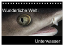 Wunderliche Welt Unterwasser (Tischkalender 2024 DIN A5 quer), CALVENDO Monatskalender