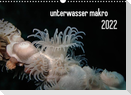 unterwasser makro 2022 (Wandkalender 2022 DIN A3 quer)