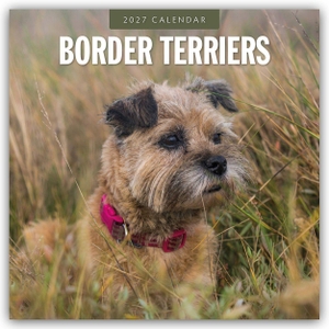 Red, Robin. Border Terriers - Border Terrier 2027 - 16-Monatskalender - Original Red Robin Publishing Ltd-Kalender [Mehrsprachig] [Kalender]. Browntrout Verlags GmbH, 2026.