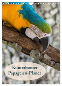 Kunterbunter Papageien-Planer (Wandkalender 2024 DIN A4 hoch), CALVENDO Monatskalender