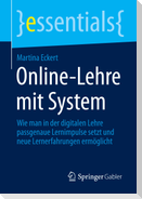 Online-Lehre mit System