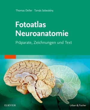 Deller, Thomas / Tamas Sebesteny. Fotoatlas Neuroanatomie. Urban & Fischer/Elsevier, 2016.