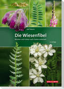 Die Wiesenfibel
