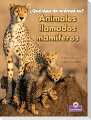 Animales Llamados Mamíferos (Animals Called Mammals)