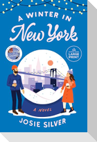 A Winter in New York