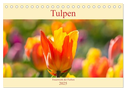 Tulpen - Feuerwerk der Farben (Tischkalender 2025 DIN A5 quer), CALVENDO Monatskalender
