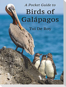 A Pocket Guide to Birds of Galápagos