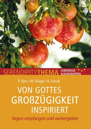 Iljen, Patrick / Klügel, Matthias et al. Von Gottes Großzügigkeit inspiriert - Segen empfangen und weitergeben - Gebrauchsfertiges Kleingruppenmaterial Serendipity mit Gesprächsimpulsen & Erklärungen zum praktischen Einsatz im Hauskreis. Brunnen-Verlag GmbH, 2026.