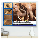 Der Afrikanische Elefant - Loxodonta africana (hochwertiger Premium Wandkalender 2025 DIN A2 quer), Kunstdruck in Hochglanz