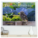 Faszination Steinkauz (hochwertiger Premium Wandkalender 2024 DIN A2 quer), Kunstdruck in Hochglanz