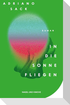 In die Sonne fliegen