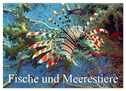 Fische und Meerestiere (Wandkalender 2024 DIN A2 quer), CALVENDO Monatskalender