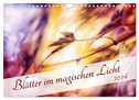 Blätter im magischen Licht (Wandkalender 2024 DIN A4 quer), CALVENDO Monatskalender