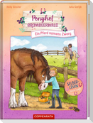 Ponyhof Brombeerwald (Leseanfänger, Bd. 2)