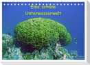 Eine schöne Unterwasserwelt (Tischkalender 2024 DIN A5 quer), CALVENDO Monatskalender