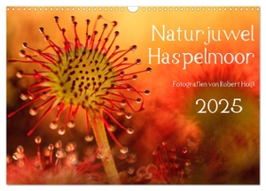 Hoiß, Robert. Naturjuwel Haspelmoor (Wandkalender 2025 DIN A3 quer), CALVENDO Monatskalender - Ein Moor sucht seinesgleichen. Calvendo, 2024.