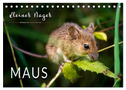 Kleiner Nager - Maus (Tischkalender 2024 DIN A5 quer), CALVENDO Monatskalender