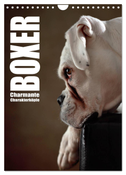 Boxer - Charmante Charakterköpfe (Wandkalender 2024 DIN A4 hoch), CALVENDO Monatskalender