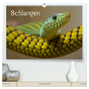 Schlangen (hochwertiger Premium Wandkalender 2024 DIN A2 quer), Kunstdruck in Hochglanz