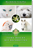 Tiere heilen mit Bachblüten - Praxisbuch