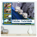 Frettchen - Freche Kobolde (hochwertiger Premium Wandkalender 2024 DIN A2 quer), Kunstdruck in Hochglanz