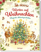 Warten auf Weihnachten. Magische Adventsgeschichten