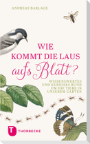 Wie kommt die Laus aufs Blatt?