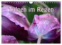 Tulpen im Regen (Wandkalender 2024 DIN A4 quer), CALVENDO Monatskalender