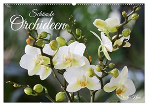 Kruse, Gisela. Schönste Orchideen (Wandkalender 2024 DIN A2 quer), CALVENDO Monatskalender - Fantastische Orchideenblüten, gelungen in Szene gesetzt. Calvendo, 2023.