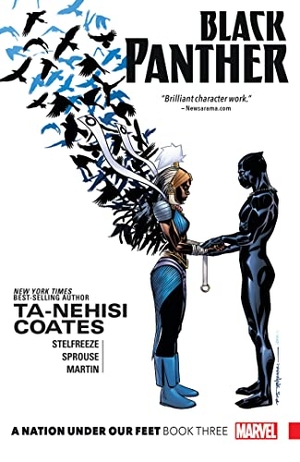 Coates, Ta-Nehisi. Black Panther: A Nation Under Our Feet Book 3. Marvel Comics, 2017.