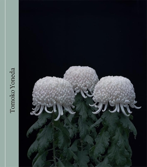 Kundera, Milan. Tomoko Yoneda. FUNDACION MAPFRE, 2021.