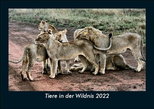 Tobias Becker. Tiere in der Wildnis 2022 Fotokalender DIN A5 - Monatskalender mit Bild-Motiven von Haustieren, Bauernhof, wilden Tieren und Raubtieren. Vero Kalender, 2021.