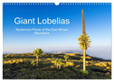 Giant Lobelias - Mysterious Plants of the East African Mountains (Wall Calendar 2024 DIN A3 landscape), CALVENDO 12 Month Wall Calendar