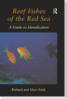 Reef Fish Of The Red Sea