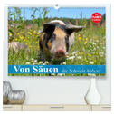 Von Säuen die Schwein haben! (hochwertiger Premium Wandkalender 2024 DIN A2 quer), Kunstdruck in Hochglanz