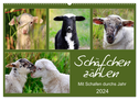 Schäfchen zählen - Mit Schafen durchs Jahr (Wandkalender 2024 DIN A2 quer), CALVENDO Monatskalender