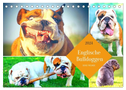 Dicke Freunde. Englische Bulldoggen (Tischkalender 2024 DIN A5 quer), CALVENDO Monatskalender