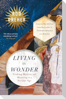 Living in Wonder