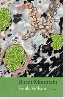 Burnt Mountain