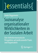Sozioanalyse organisationaler Wirklichkeiten in der Sozialen Arbeit