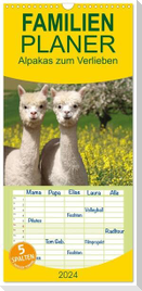 Familienplaner 2024 - Alpakas zum Verlieben mit 5 Spalten (Wandkalender, 21 x 45 cm) CALVENDO