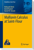 Malliavin Calculus at Saint-Flour