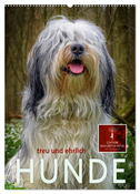 Hunde - treu und ehrlich (Wandkalender 2024 DIN A2 hoch), CALVENDO Monatskalender