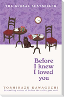 Before I Knew I Loved You