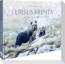 Ursus Brenta - Die Rückkehr der Bären in die Alpen