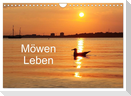 Möwen Leben (Wandkalender 2024 DIN A4 quer), CALVENDO Monatskalender