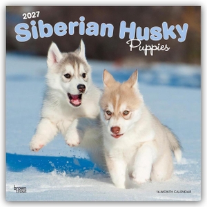 Publishers, Browntrout. Siberian Husky Puppies - Siberian Husky Welpen 2027 - 16-Monatskalender - Original BrownTrout-Kalender [Mehrsprachig] [Kalender]. Browntrout Verlags GmbH, 2026.