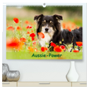Aussie-Power (hochwertiger Premium Wandkalender 2025 DIN A2 quer), Kunstdruck in Hochglanz